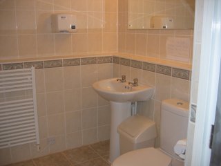 [Cast Toilet]